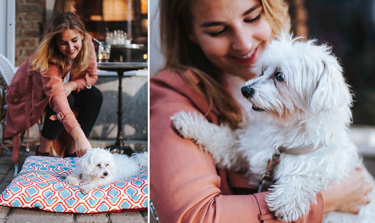 Die Stadthunde Nina Herr Karl Hundelabel Hundezubehör Hundeleinen Hundemode Nachhaltig Vegan Portrait Adopt don’t shop Tierschutz Jolly Schwarz Photography Alexandra Stalzer Grafikdesign Wien Hunde Stadt