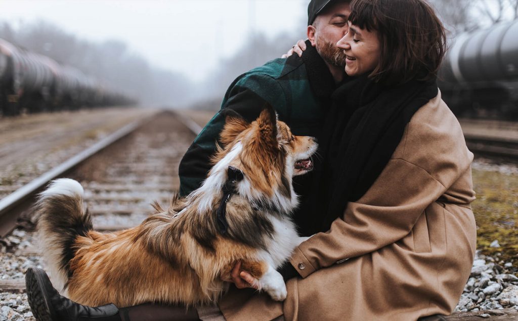 Die Stadthunde Jolly Schwarz Photography Alexandra Stalzer Grafikdesign Wien Hunde Stadt
