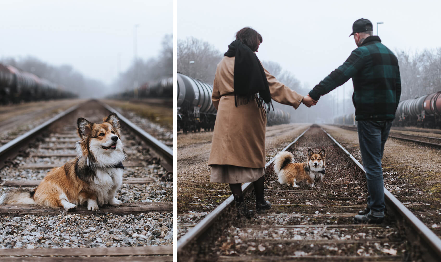 Die Stadthunde Jolly Schwarz Photography Alexandra Stalzer Grafikdesign Wien Hunde Stadt